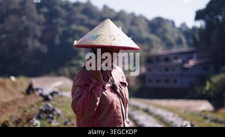 Asian farmer woman wearing conical hat using smartphone in rural field Stock Photo