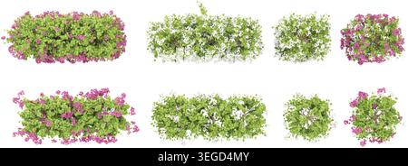 Beautiful paper flower plants isolated on transparent background. 3D render from top view Stock Vector