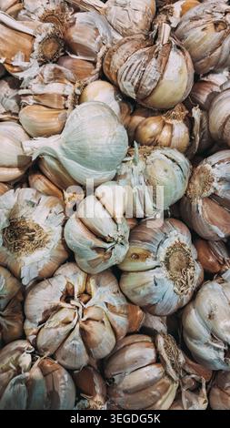 Bunch of fresh garlic bulbs on a supermarket tray Stock Photo