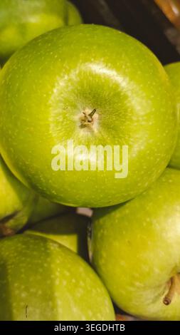 The Granny Smith is an iconic, bright-green apple cultivar widely known for its crisp texture and intensely tart, sour flavor Stock Photo