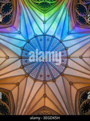 Decorated octagonal vaulted ceiling of the Chapter House at York Minster, illuminated with coloured lighting. Stock Photo