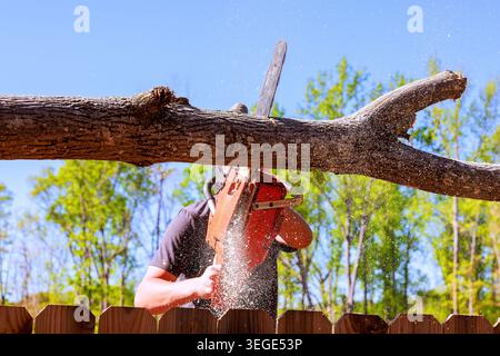Worker uses chainsaw to cut tree branch in backyard with trees in background. Stock Photo