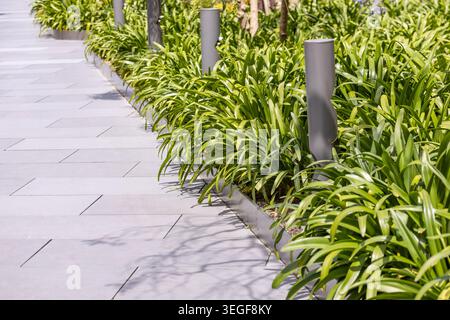 Modern eco friendly urban landscaping with green plants lush ornamental grass and concrete pavement pathway in a sustainable city architecture layout. Stock Photo