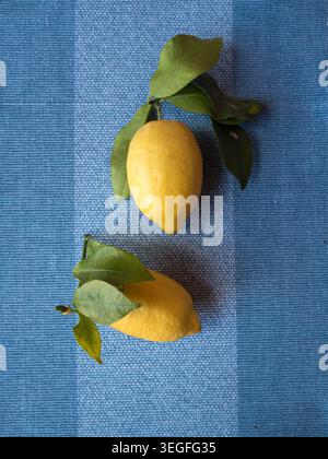 Two Fresh Lemons with Green Leaves on Blue Textile Background, Vertical Flat Lay Stock Photo