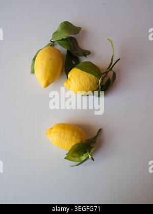 Three Fresh Lemons with Green Leaves on White Table, Vertical Flat Lay Stock Photo