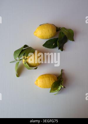 Three Fresh Lemons with Green Leaves on White Table, Vertical Flat Lay Stock Photo