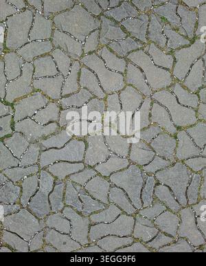 A top view of a stone pavement made of irregular grey cobblestones. Fresh green grass is growing in the spaces between the stones on a clear day. Stock Photo