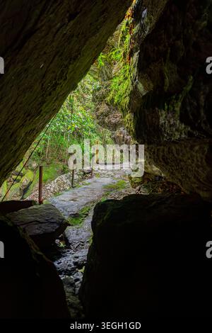 A stone pathway illuminated by natural light transitions through a rocky cave, revealing vibrant green plants and dense foliage beyond. Stock Photo