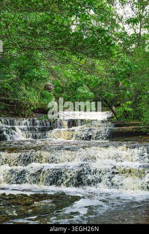 Vibrant green foliage surrounds multiple cascading waterfalls, showcasing the natural beauty of Cerro Azul, Guaviare. Stock Photo