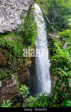A vibrant waterfall flows down rocky cliffs, embraced by rich green plants and dense jungle vegetation in Guaviare, Colombia. Stock Photo