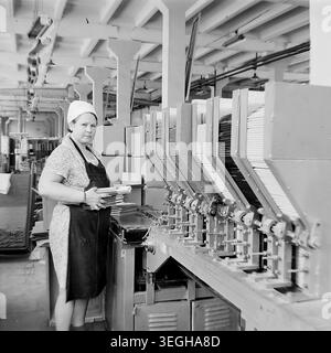 Sloviansk, late 1970s - early 1980s, pencil factory. A female worker is photographed standing beside a complex mechanical machine, attentively operating the equipment during her shift. She wears a practical patterned dress, a dark protective apron, and a white headscarf. The industrial workshop features bright overhead lighting, concrete pillars, and stacks of packaged products ready for distribution. This authentic archival image beautifully preserves the atmosphere of Soviet manufacturing, and peace in Donbas. Stock Photo