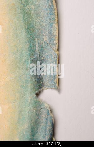 Macro view of frayed fabric-like paper edges showing subtle color gradients and a rough, textured surface Stock Photo