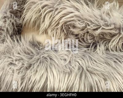 Detailed view of a shaggy, plush, synthetic material showcasing its long fibers and subtle color variations, perfect for cozy textiles and fashion acc Stock Photo