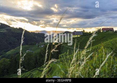 Golden sunset over rolling vineyard hills in South Styria, Austria. Scenic wine region landscape with dramatic clouds and green countryside. Stock Photo