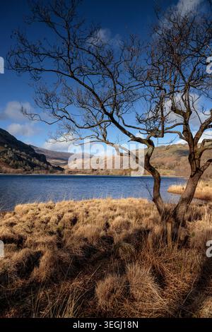 Llyn Gwynant in the Snowdonia National park, North Wales Stock Photo
