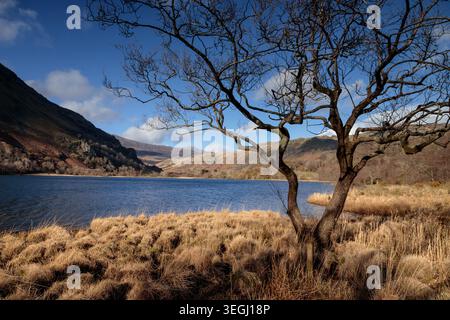 Llyn Gwynant in the Snowdonia National park, North Wales Stock Photo