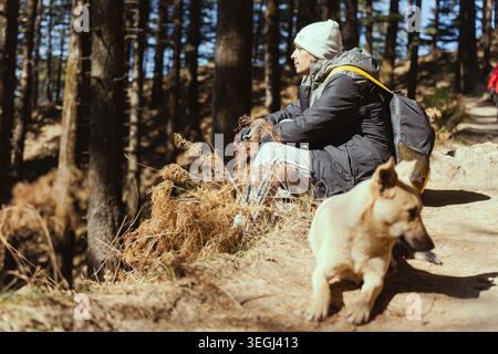 A woman wearing a winter jacket and beanie rests on a dirt path in a pine forest with her dog in Chakrata, Uttarakhand, India. Stock Photo