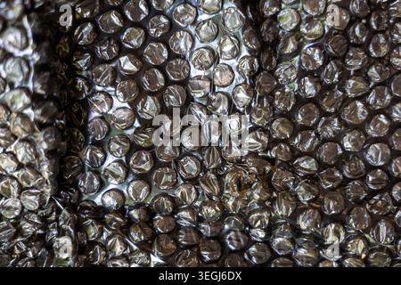 Close macro view of clear bubble wrap plastic packaging material displaying an abstract protective texture and round pattern providing satisfying feel Stock Photo