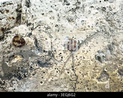 Weathered Concrete Texture with Natural Patterns and Holes Stock Photo