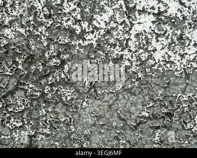 Abstract Cracked Paint Texture with Gray and White Peeling Surface Stock Photo