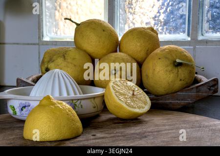 Fresh yellow lemons, juicer, and wooden board on a table. Stock Photo