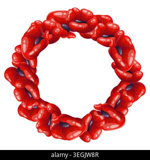Round wreath with red poppies Stock Vector