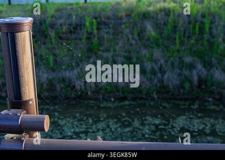 Detailed spider web attached to a rustic wooden fence near calm water during golden hour. Minimal nature scene with atmospheric countryside mood. Stock Photo