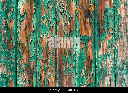 Aged wooden texture with worn green paint and rustic weathered look Stock Photo
