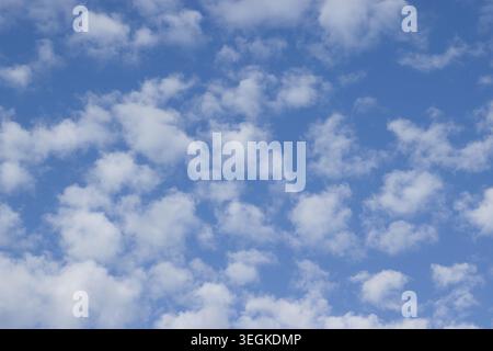 Clear blue sky filled with scattered small white clouds Stock Photo