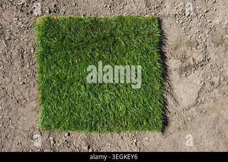Gardening. Making a lawn from a roll. A cut-out piece of rolled turf on the ground. Stock Photo