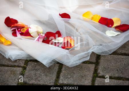 White wedding veil with scattered colorful rose petals lies on a grey brick pathway Stock Photo