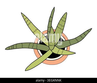 Snake plant viewed from above in a simple pot. Stock Vector