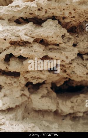 Macro limestone rock texture with natural holes porous surface warm beige mineral tones organic erosion forms abstract geology background raw stone Stock Photo