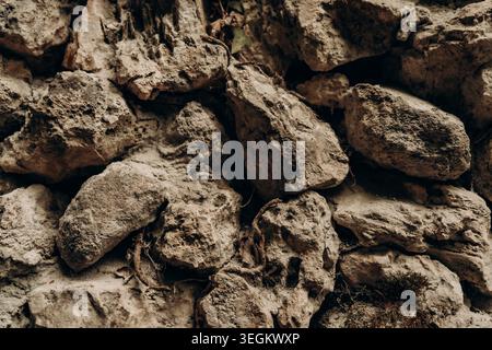 Rough limestone stones in old natural wall with porous weathered surface earthy beige tones rugged mineral texture organic geology background ancient Stock Photo