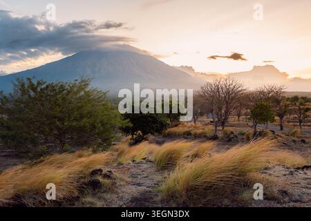 Volcano landscape at sunset with dry grass, trees and dramatic cloudy sky Stock Photo