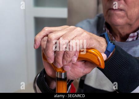 Senior man hands holding walking stick Stock Photo