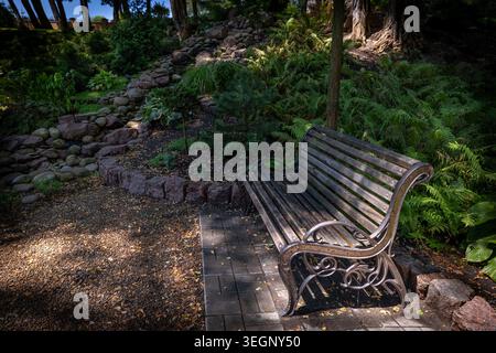 An empty wooden park bench with an ornate metal frame stands on a paved area alongside a gravel path in a landscaped public garden surrounded by vario Stock Photo
