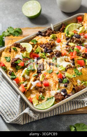 Homemade Mexican Beef Birria Nachos with Cheese Beans and Avocado Stock Photo