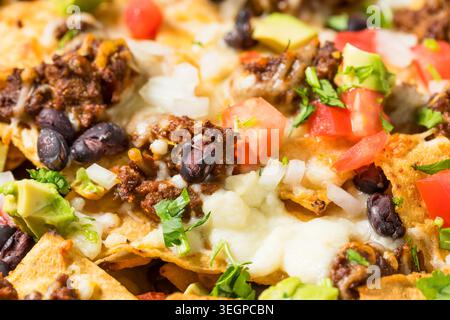 Homemade Mexican Beef Birria Nachos with Cheese Beans and Avocado Stock Photo