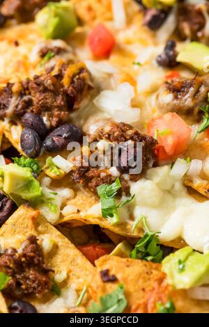 Homemade Mexican Beef Birria Nachos with Cheese Beans and Avocado Stock Photo