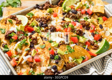 Homemade Mexican Beef Birria Nachos with Cheese Beans and Avocado Stock Photo