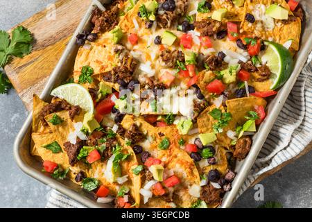 Homemade Mexican Beef Birria Nachos with Cheese Beans and Avocado Stock Photo