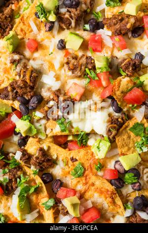 Homemade Mexican Beef Birria Nachos with Cheese Beans and Avocado Stock Photo
