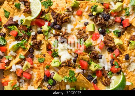 Homemade Mexican Beef Birria Nachos with Cheese Beans and Avocado Stock Photo