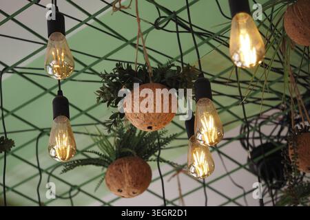 Hanging lights and plants decorate a ceiling space Stock Photo