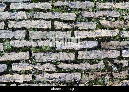 Texture of square gray stones lined in a park for a sidewalk. Moss between the stones Stock Photo