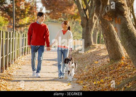 A young couple walks hand-in-hand with their dog in a sunny autumn park. Stock Photo