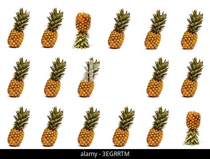 Many ripe pineapples on a white background Stock Photo
