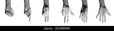 Hand shows counting gesture sequence displaying zero to five fingers against neutral background. Palm presents numeric progression using digits increa Stock Photo