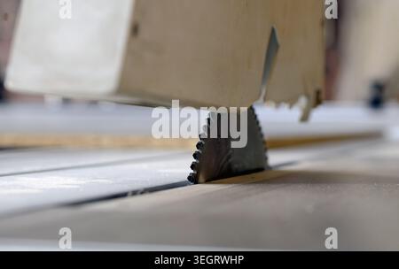 Table saw blade spinning, poised to cut wood in a dusty carpentry workshop, highlighting sharp precision, skilled craftsmanship and industrial woodwor Stock Photo